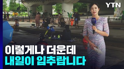 [날씨] 찌는 듯한 무더위 계속...내일 '입추' 곳곳 소나기 / YTN