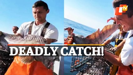 Viral Video | Monstrous fish 'killed everything' and attacks fisherman