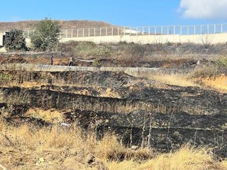 Son dakika haber! PENDİK'TE MAKİLİKTE ÇIKAN YANGINDA 20 ARI KOVANI ZARAR GÖRDÜ