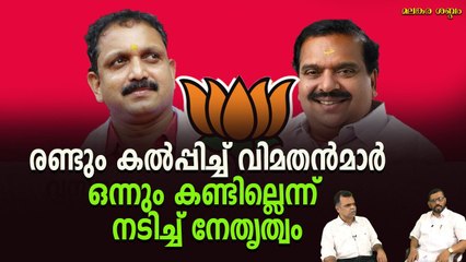 ബി.ജെ.പിയുടെ വെറുതേ ഒരു സംസ്ഥാന നേതൃയോഗം