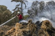 Son dakika haberleri! Ormanlık alanın yanındaki saman balyalarında çıkan yangın söndürüldü