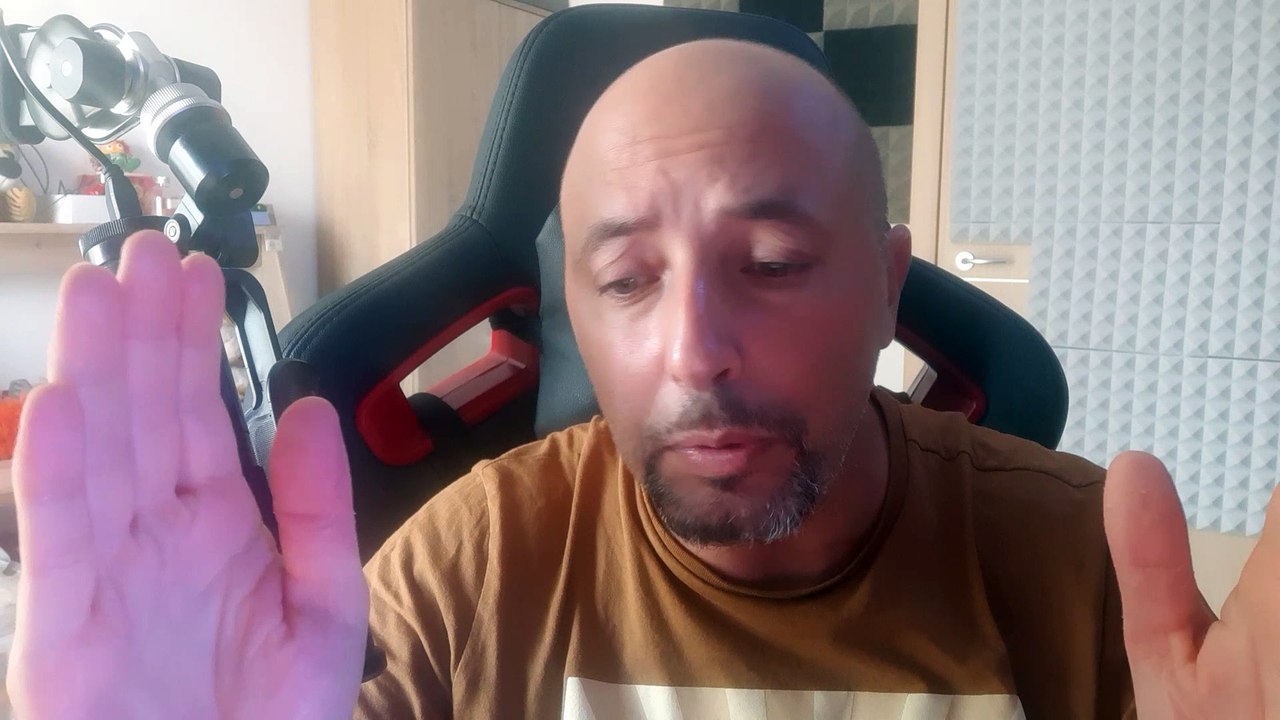 Al cane piace salire sul tetto costretta a mettere un cartello per dire ai passanti che 'va tutto bene'