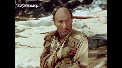 PIANURA ROSSA (1955) Film di Guerra con GREGORY PECK 2 Tempo