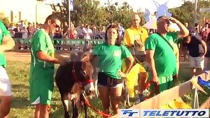 Video News - TORNA IL PALIO DEGLI ASINI