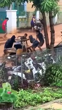 Khoảnh khắc nước lũ tràn về cuốn trôi cả người lẫn xe