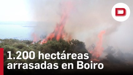 1.200 hectáreas arrasadas por el incendio de Boiro