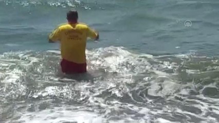 Cankurtaran ekipleri kıyı temizliği yaptı