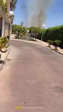 Los bomberos acuden a sofocar un aparatoso incendio de setos en Fátima