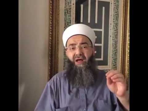 Ben Vatan Haini miyim Hulusi Paşa Benim Elimi Niçin Sıkmasın?