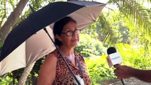 Urge a usuarios el mantenimiento del parque lineal | CPS Noticias Puerto Vallarta