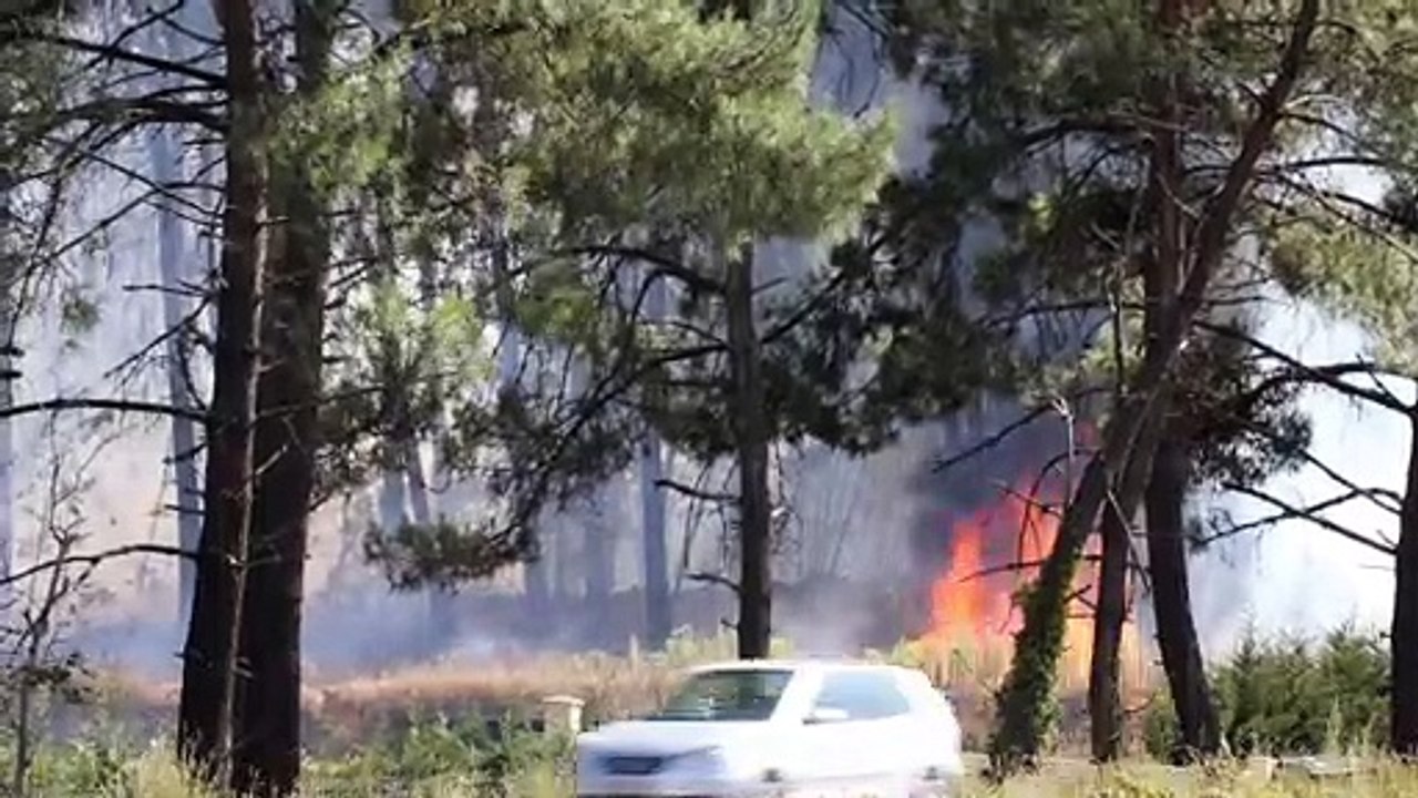 Feu de forêt au Mans, le 6 aout 2022