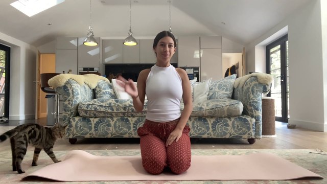 Core strengthening yoga - featuring my cat zizi