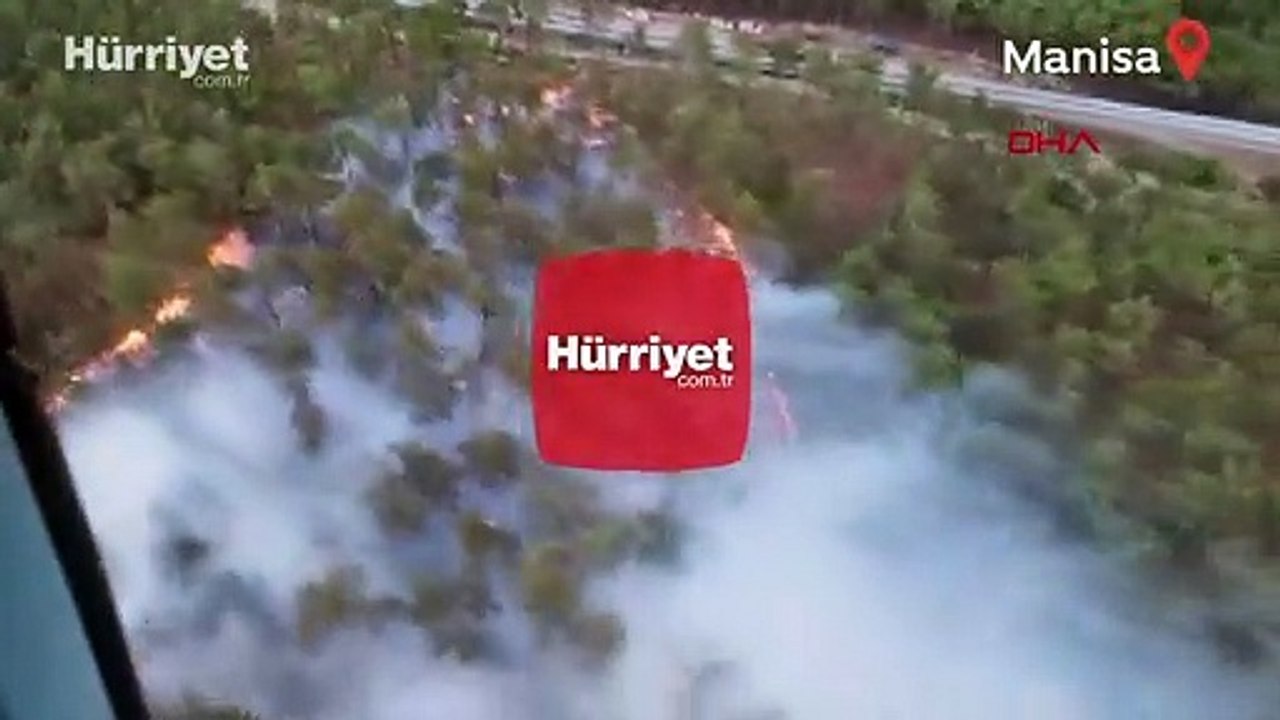 Manisa Soma'da orman yangını