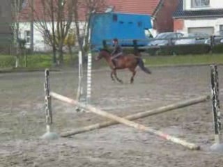 Saut d'obstacle avec bizou