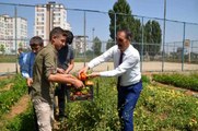 Muş genel haberi: Muş'ta okul bahçesinde yetiştirilen sebzeler, ihtiyaç sahiplerine dağıtılıyor
