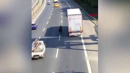 Son dakika haberi! TEM'İN ORTASINA ÇIKTI KAZAYA NEDEN OLDU