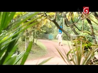 Neela Paligu Diya Episode 31