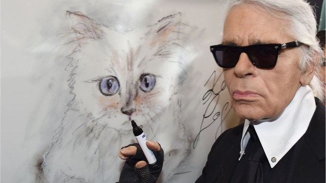 GALA VIDÉO - Karl Lagerfeld : 3 ans après sa mort, sa chatte Choupette vit sa meilleure vie !