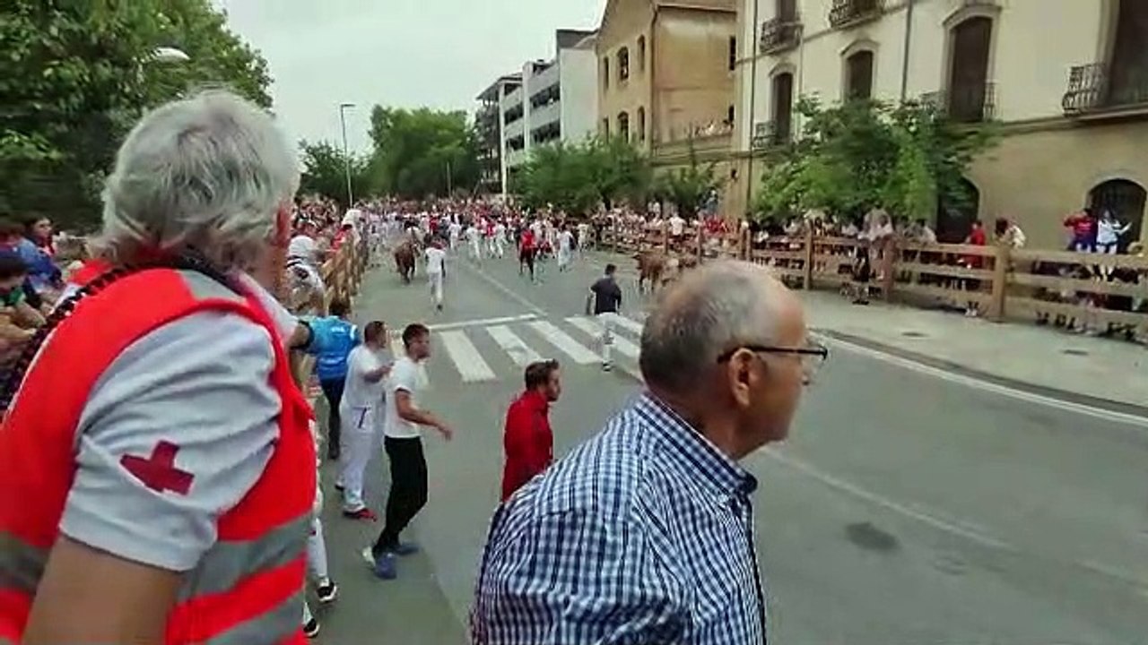Segundo encierro de Tafalla 2022 con toros de Manuel Blázquez