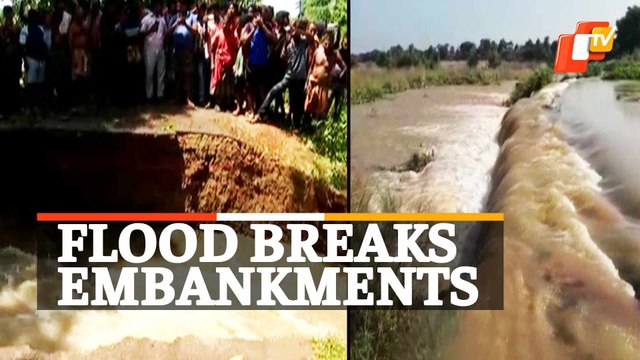 Several Breaches Reported In Odisha As Mahanadi Floodwater Enter Lower Catchment Areas