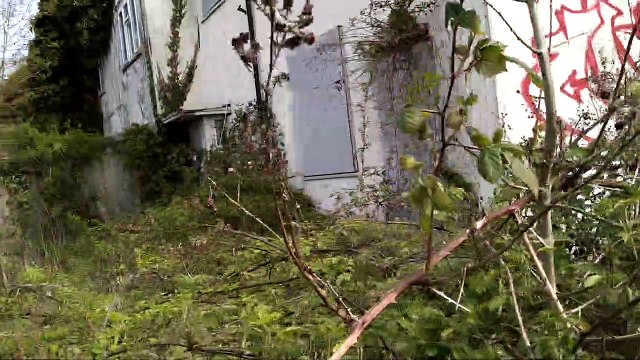 Carl Harris: Property and surroundings in Gildas Avenue Kings Norton Birmingham