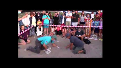 Yangın dumanı ufku kapladı, yavru carettalar yönlerini bulamadı