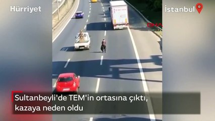 TEM'in ortasına çıktı, kazaya sebep oldu! O anlar kamerada