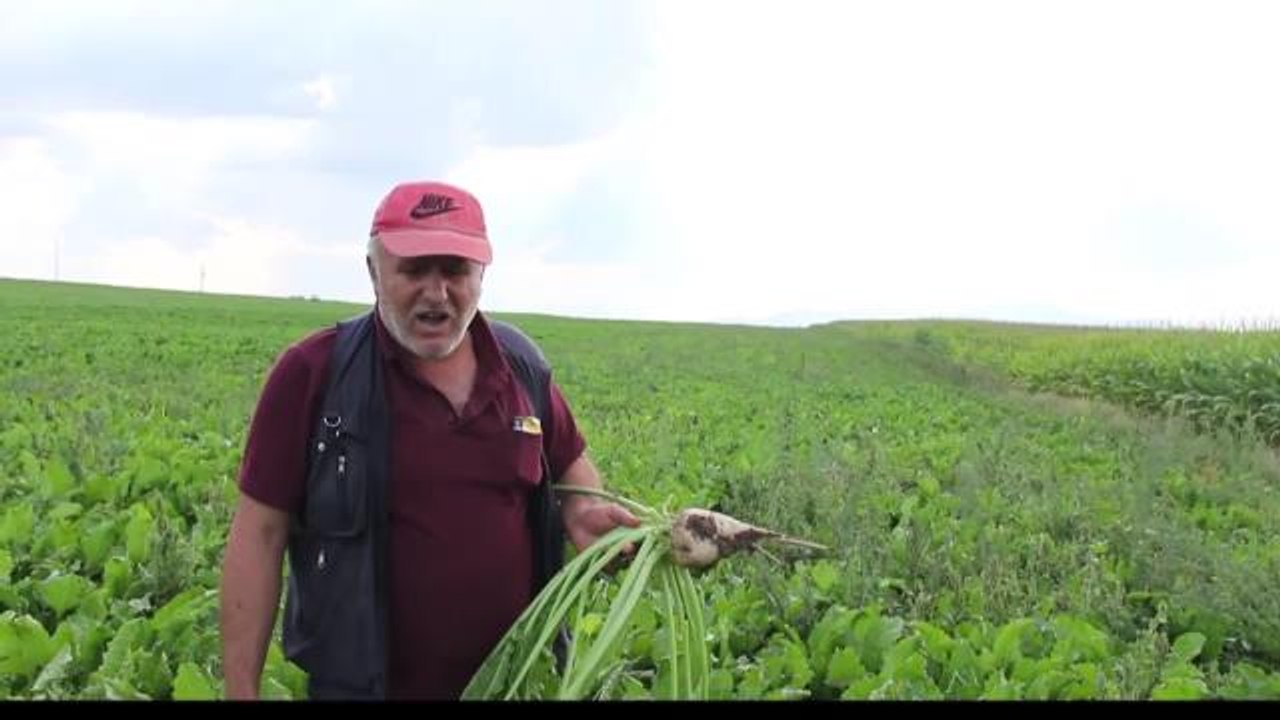 Afyon haberi: Afyonkarahisarlı Pancar Üreticisi: 'Elim Hamur, Karnım Aç' Durumunda Çiftçi