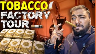 Tobacco Factory Tour In Europe    _ Smoking is Injurious To Health  _ Cherry Vlogs