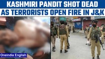 J&K: 2 Kashmiri Pandit brothers shot at by terrorists in Shopian, one dies | Oneindia News*News