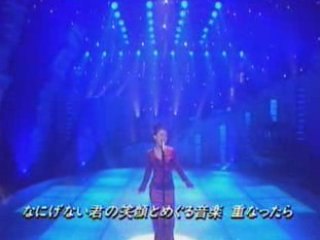 BIRD オアシス (FUN)