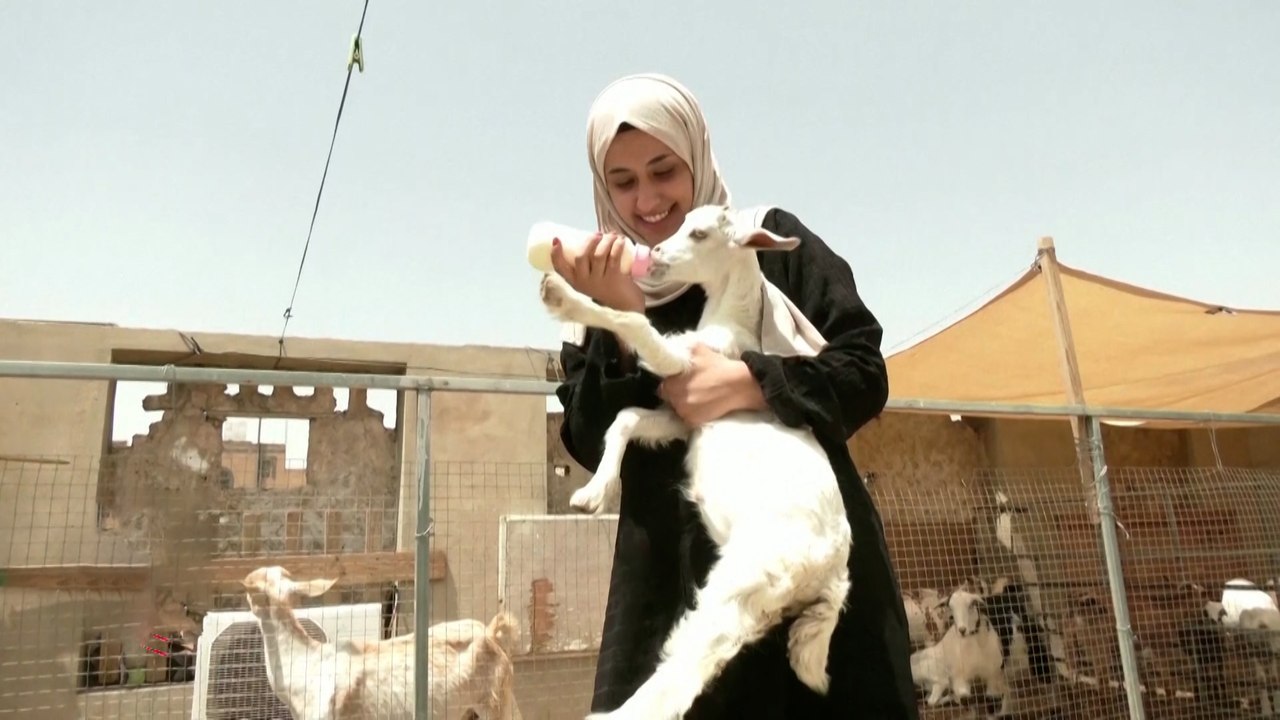 من سطح المنزل.. توأمان يمنيتان تصنعان منتجات الحليب