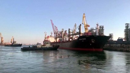 우크라이나 곡물 수출선 4척 추가 출항 / YTN