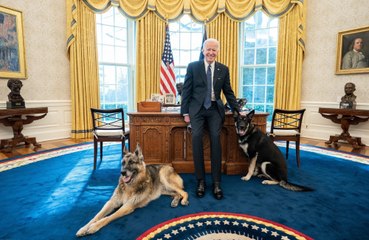 US president Joe Biden tests negative for COVID-19