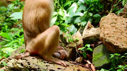 23=Complete Bad...!! Try take it out from hand ! Mom not pity baby Rainbow