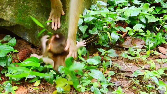 32=Help me bad mom Libby..!! baby Rainbow WAITING FOR HELP..