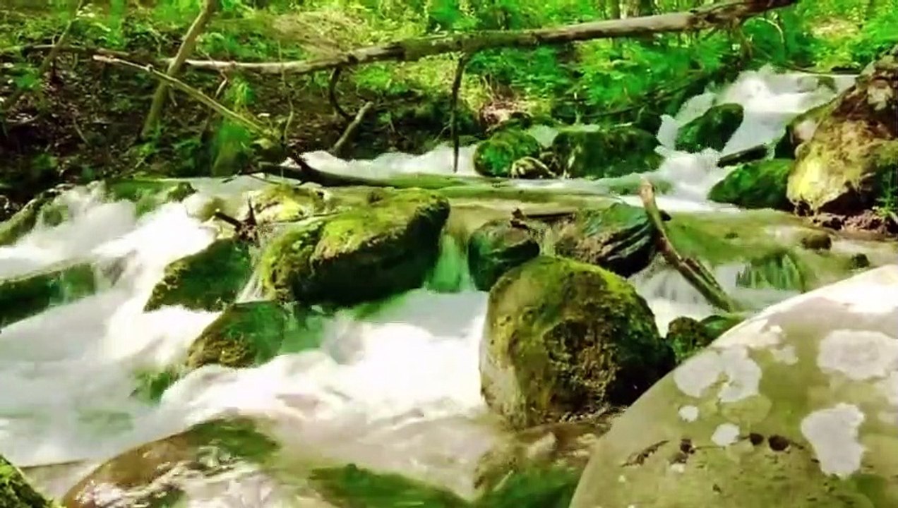 Stress relief Sleeping Calm Relaxing Music  Relaxation And Meditation Music