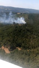 Bursa 3. sayfa: Bursa'da orman yangını