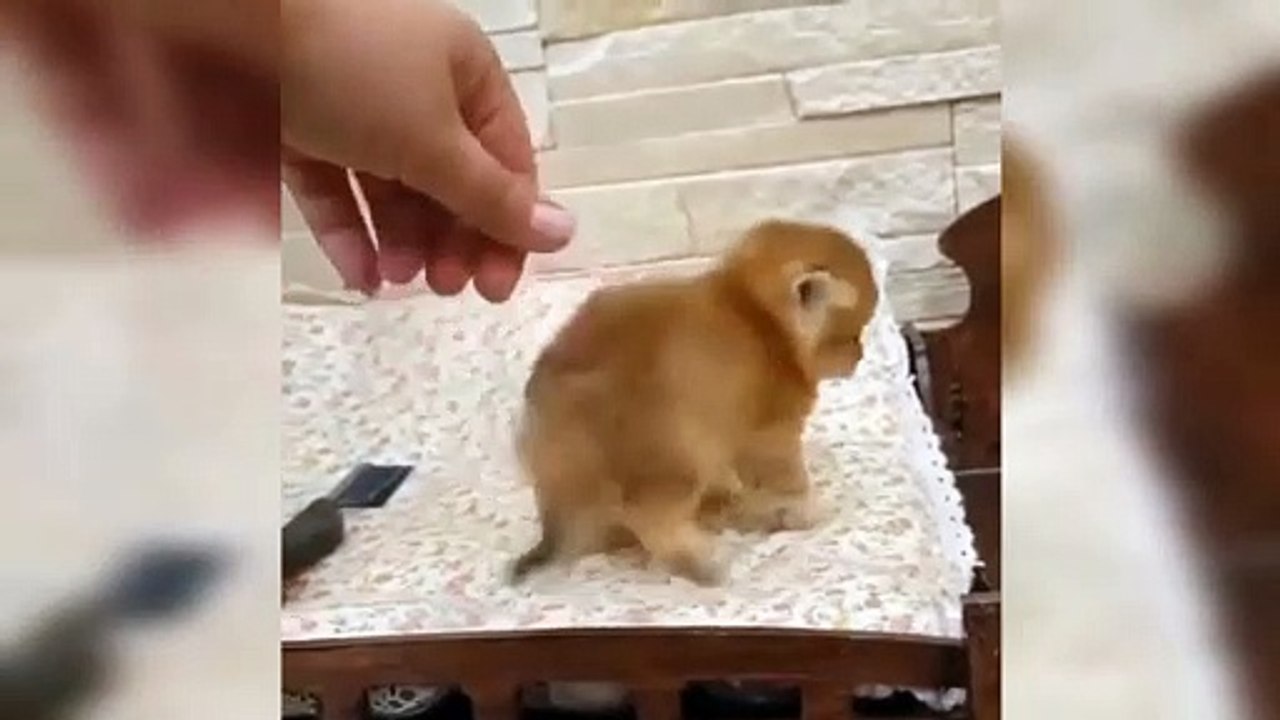 Sooo Sweet ..... Kitty