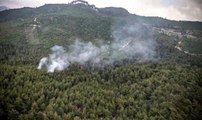 Son dakika haberleri... Ormanlık ve örtülük alanda çıkan yangına müdahale ediliyor