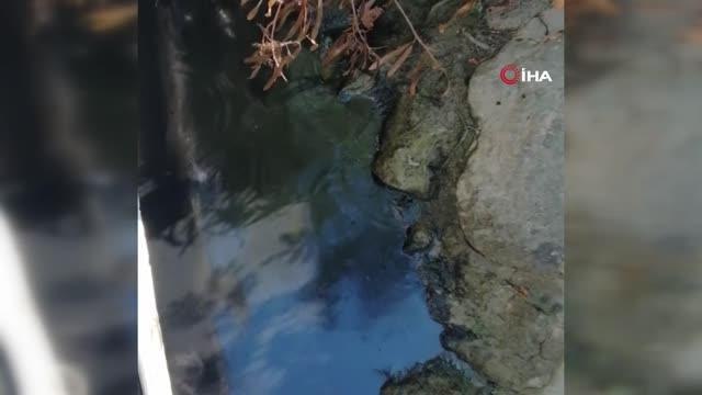 Antalya gündem haberleri | Manavgat Irmağı'nda tepki çeken görüntü: Teknelerin konuşlandığı bölge siyaha büründü