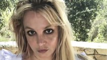 GALA VIDEO - Britney Spears rejetée par ses fils ? Son ex-mari Kevin Federline balance !