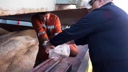 "Работа зернового коридора — символ надежды"