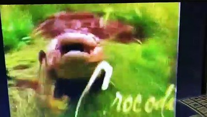 The Crocodile Hunter TV Series Intro (1995-2003)