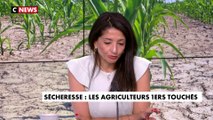 Jeannette Bougrab :  «On va pénaliser les agriculteurs français et en même temps importer, c’est triste à mourir»
