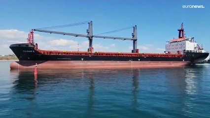 Ukraine: Hoffnung für Lebensmittelexporte - Sorge um Situation am AKW Saporischschja