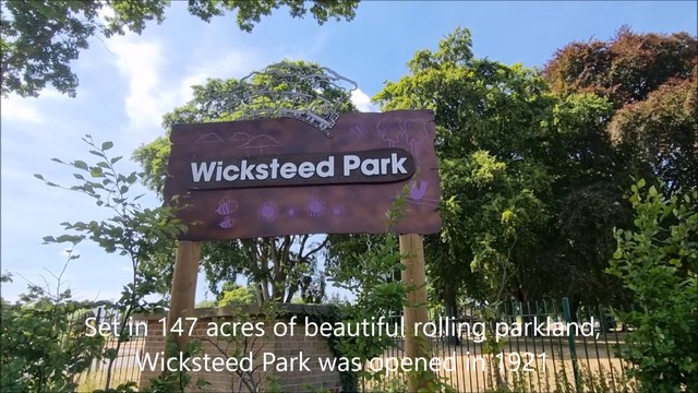 Wicksteed Park video