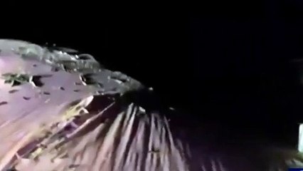 Australia Mouse Plague in NSW Live