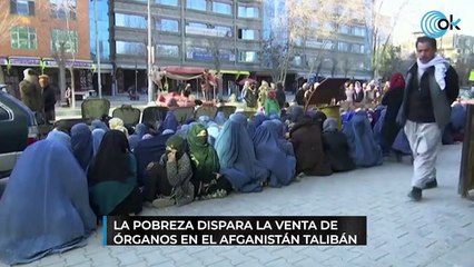 La pobreza dispara la venta de órganos en el Afganistán talibán