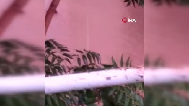 Uşak gündem haberi: Uşak'ta şiddetli yağış sonrasında su baskınları yaşandı